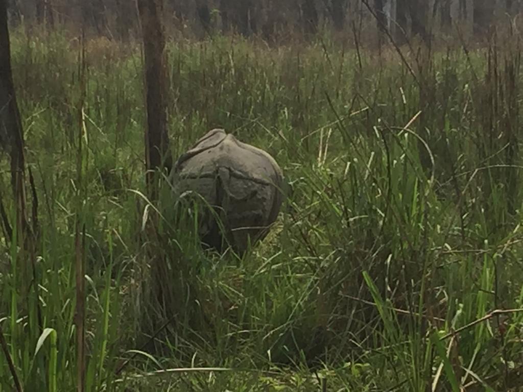 Chitwan Safari Camp & Lodge Sauraha Luaran gambar
