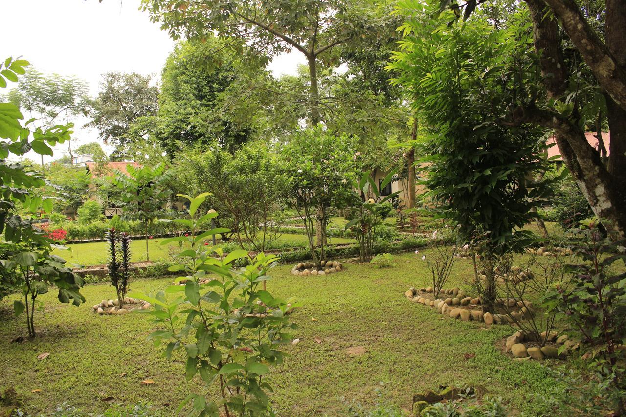 Chitwan Safari Camp & Lodge Sauraha Luaran gambar