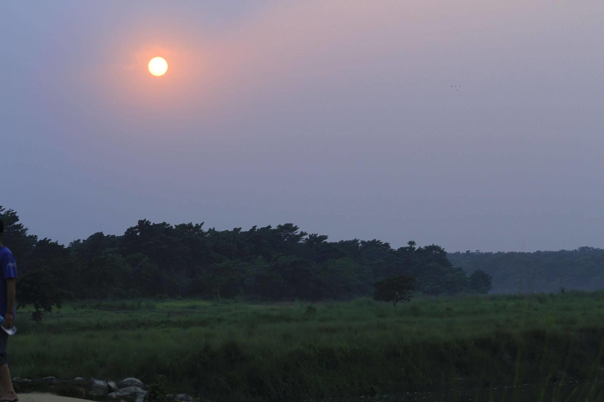 Chitwan Safari Camp & Lodge Sauraha Luaran gambar