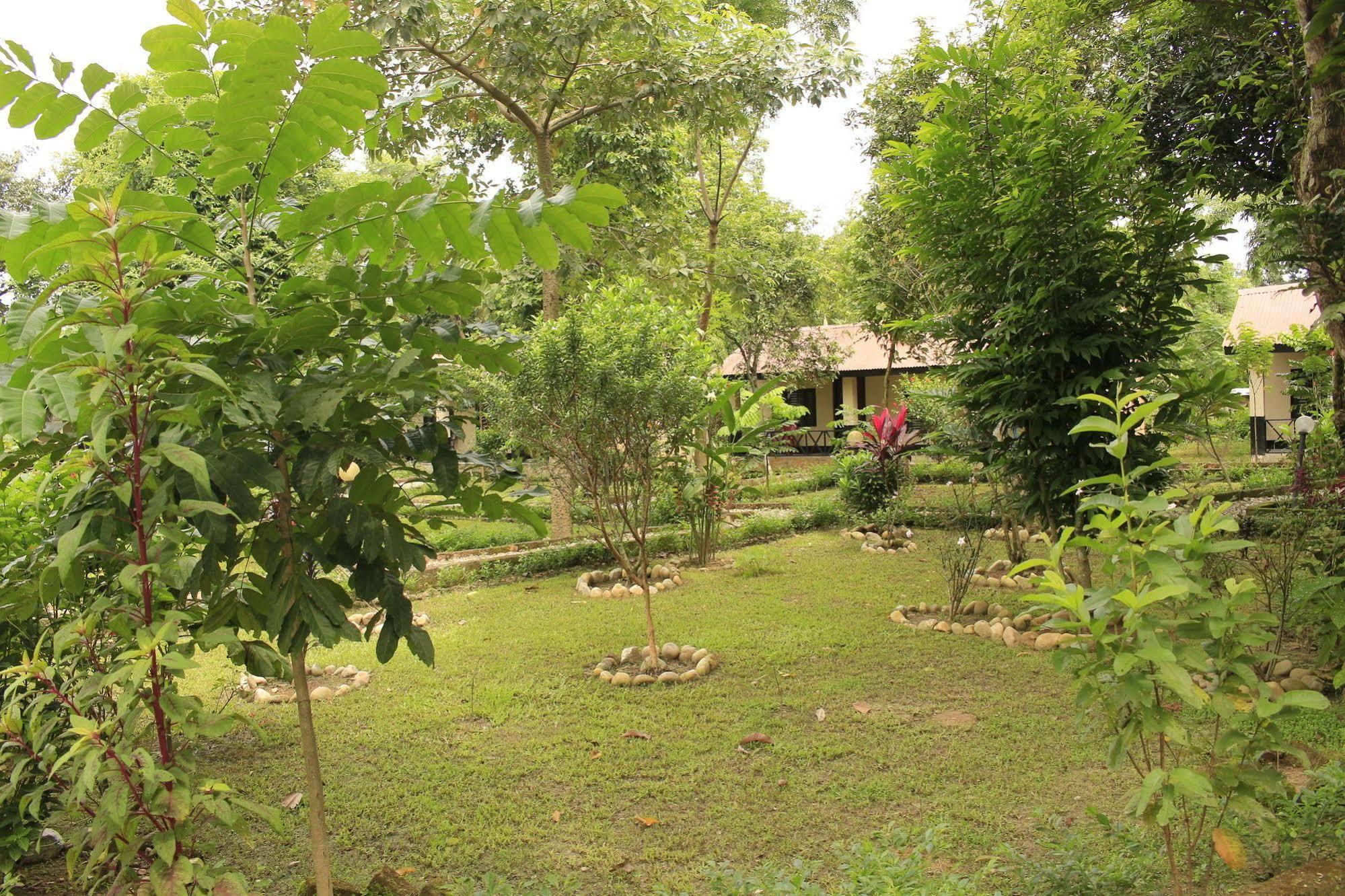 Chitwan Safari Camp & Lodge Sauraha Luaran gambar